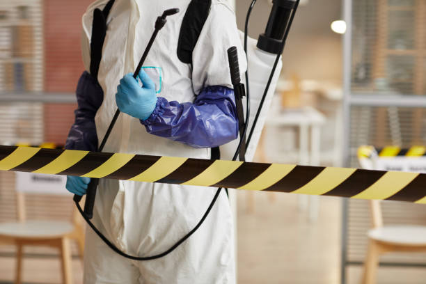 Professional Odor Removal technician working in Monroe, IA